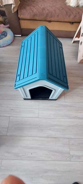 Buda dla psa plastikowa
