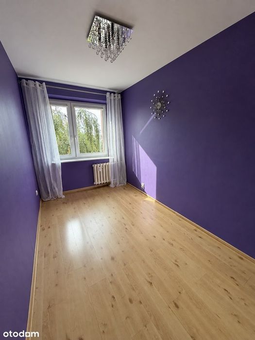 Zdjęcie 5