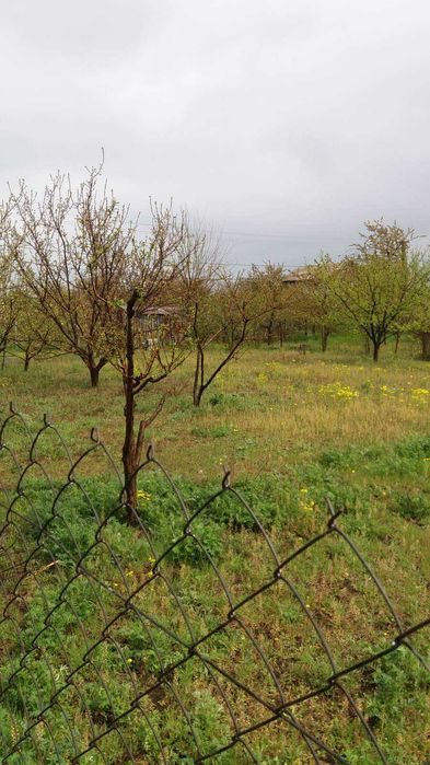 Дачный участок 6 соток Натальевка