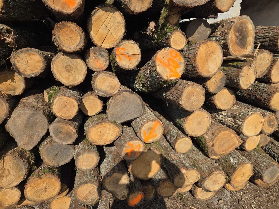 opał brzoza dąb drewno kominkowe  suche