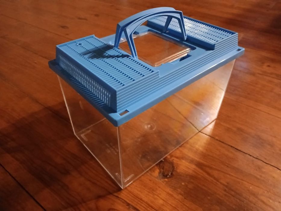 Aquário / caixa para repteis, outros