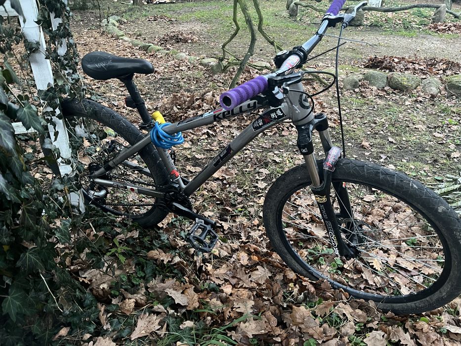 Kellys whip 10 raw 2023r