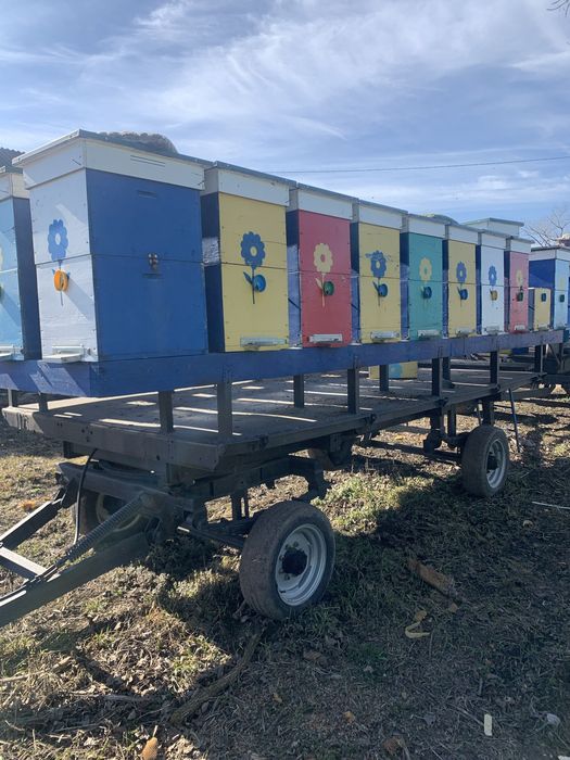 Бджоли вулики Причіп