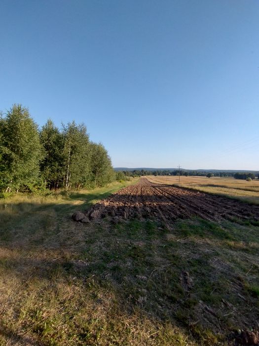 Wydzierżawię oddam w dzierżawę - Widok 3