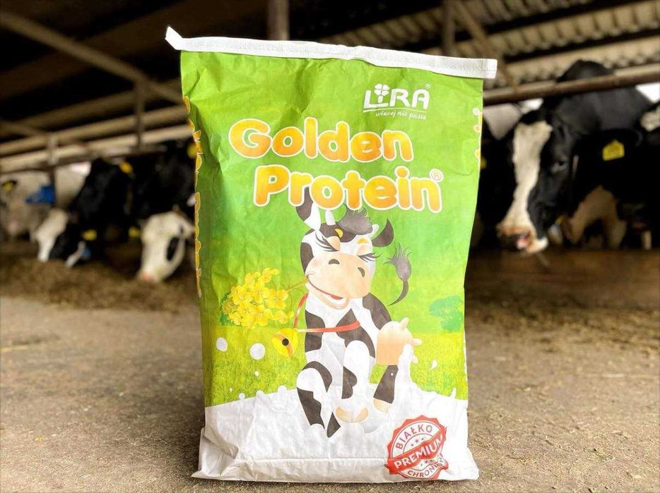 GOLDEN PROTEIN – nowa jakość białka w Twojej dawce.