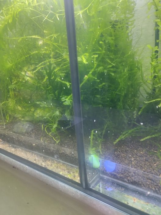 Aquários  50.  - 60 -  93cms 3 divisões