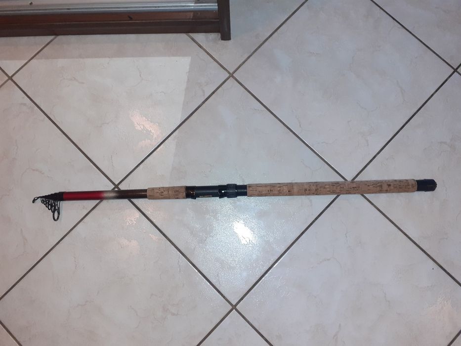 Balzer Magna  3,60m/10-30g