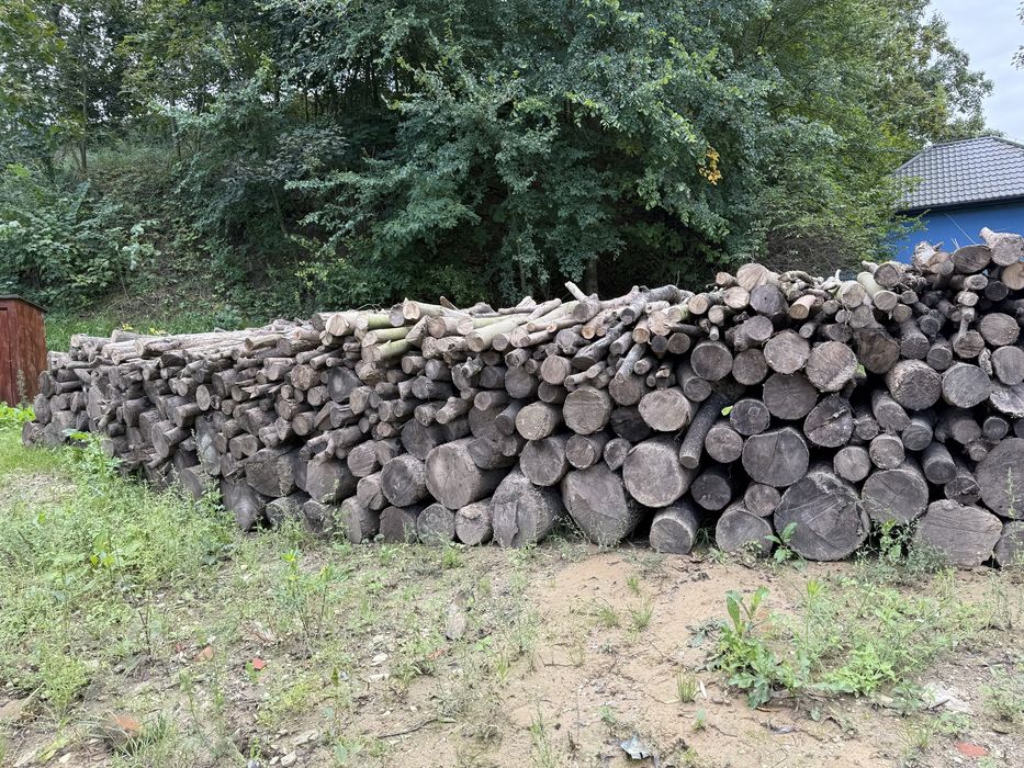 Sprzedam drzewo, drewno opałowe - jesion, klon