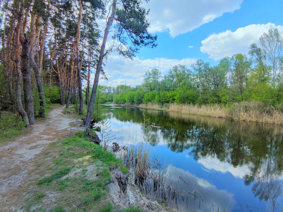 З Ремонтом! Будинок на Березі р. "Ворскла" 28 Соток. Р-н. Крутий берег