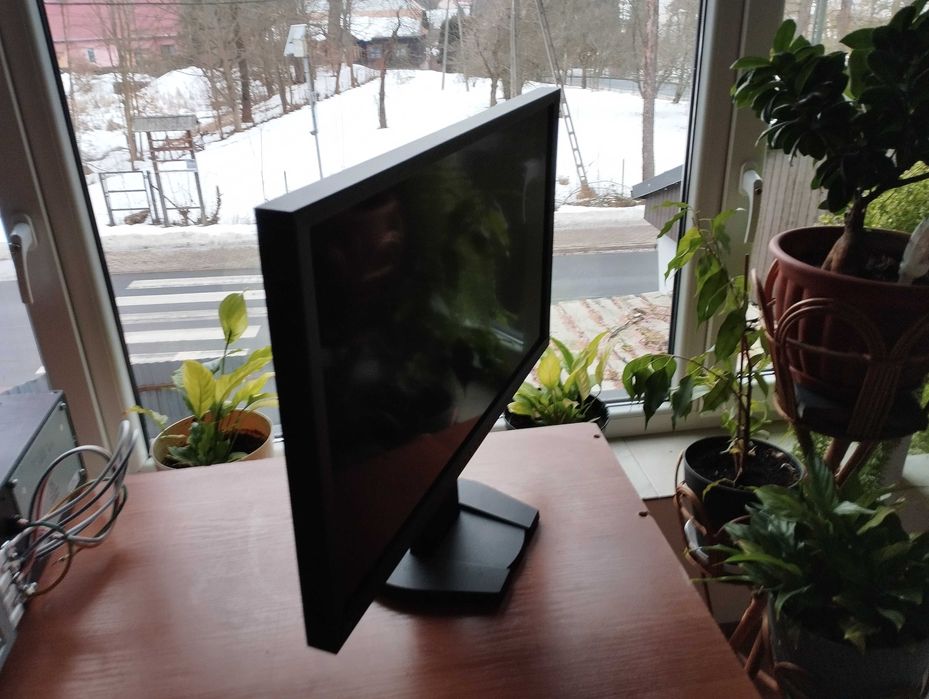 Monitor Eizo Foris FG2421PL czarny
