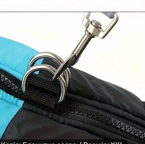 Одяг для собак та котиків