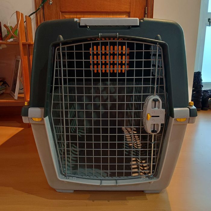 Caixa de transporte N⁰ 6 IATA cão