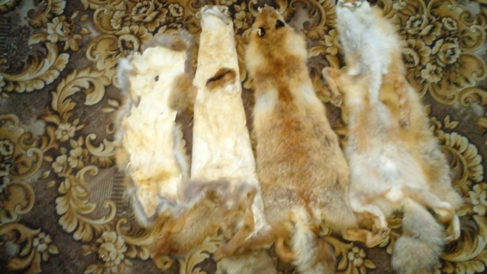 Мех для пошиву.чюлок.