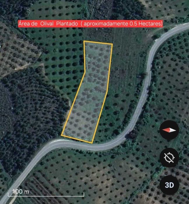 Terreno com Olival com aproximadamente 2,5 hectares em Olmos, Macedo de cavaleiros