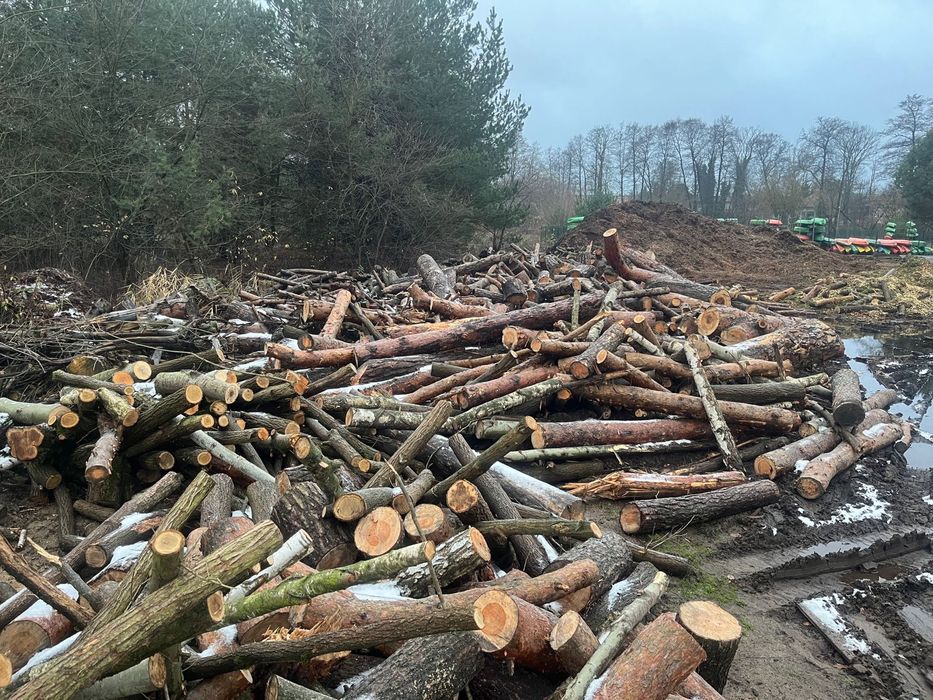 Drzewo drewno opałowe okazja sosna brzoza dąb olcha opał