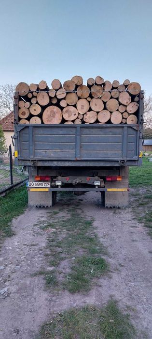 Дрова!, колені! Ясінь, граб, дуб Бук.