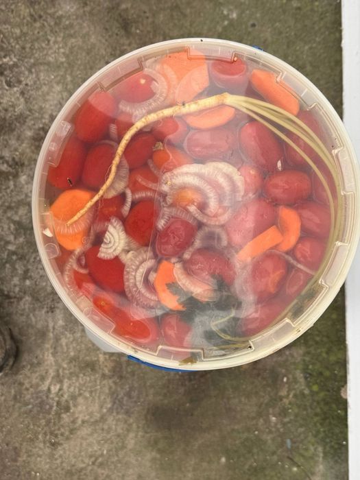 Квашені помідори та огірок