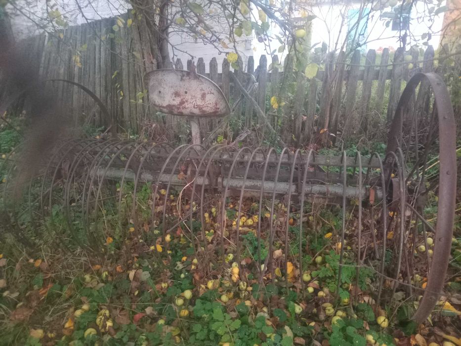 Продам кіну гребачку