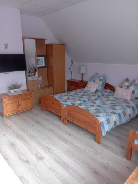 domek górski strumień w Masywie Śnieżnika