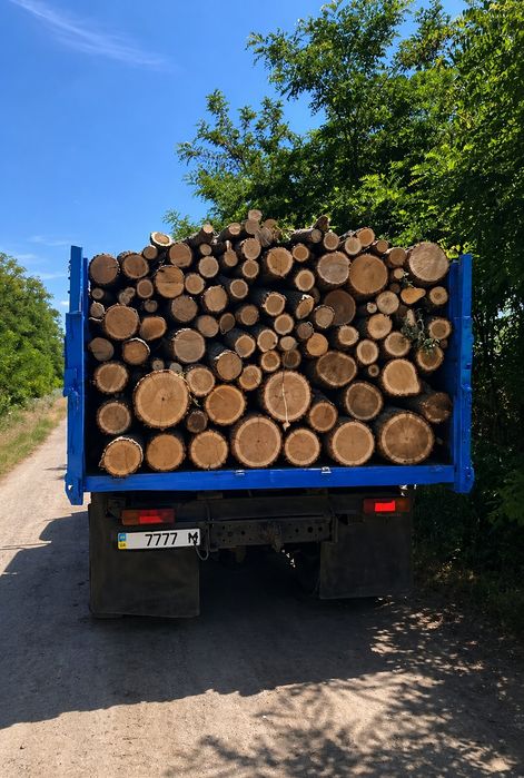 Продам Дрова Твердої породи