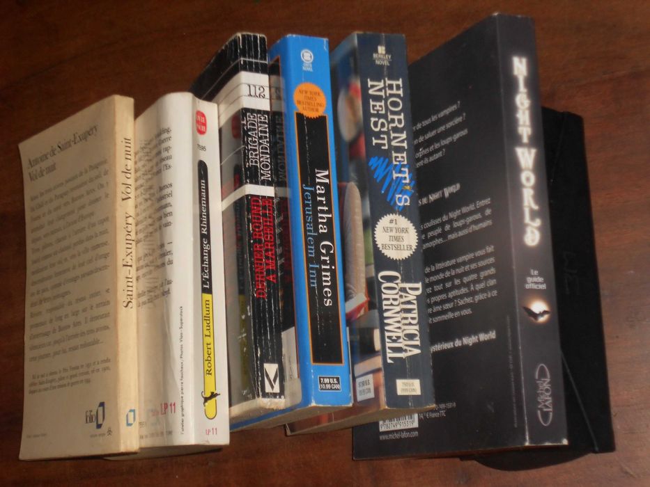 Livros Ingles e frances lingua inglesa francesa diversos