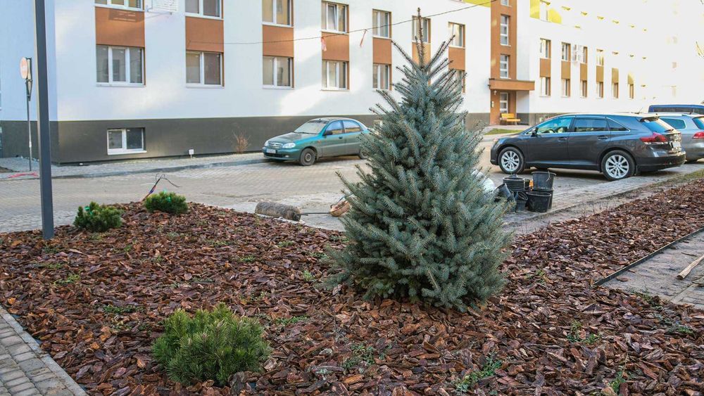 Продаж 3-кім.квартири вул. Тролейбусна ЖК Компаньон Без комісії