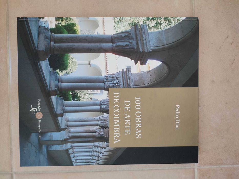 100 Obras de Arte de Coimbra - Pedro Dias