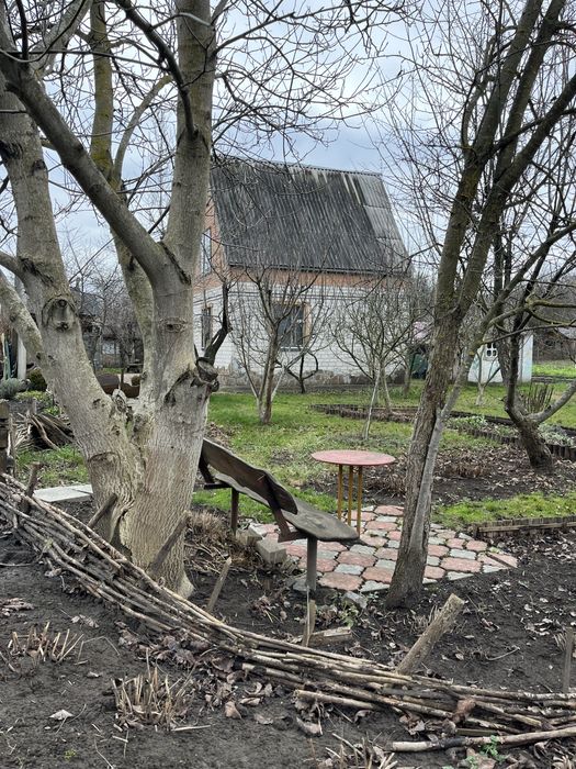 Будинок з банею та ставком