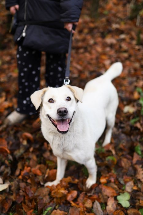 Adopcja w dwupaku - Zuzia & Misio!