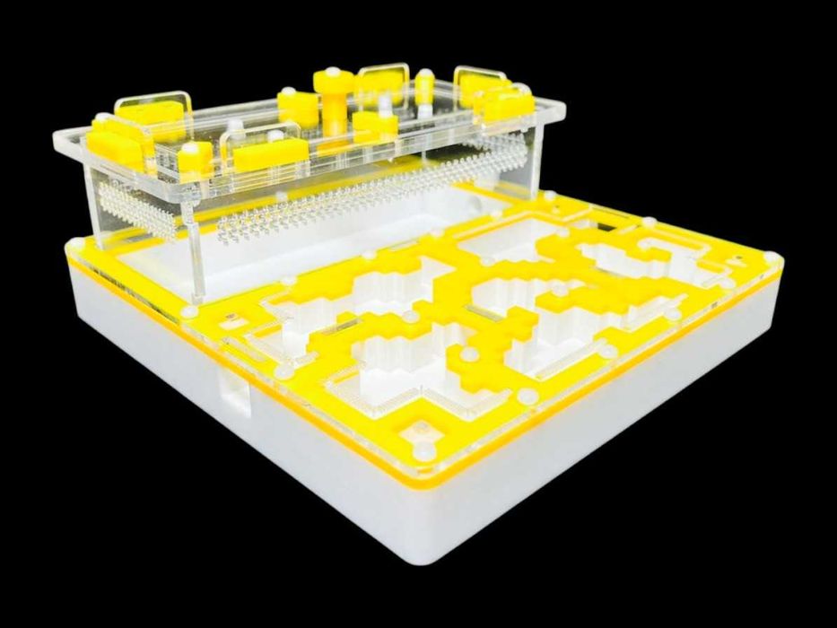 Муравьиная ферма Pixel Yellow варианты А и Б 200х200мм гипс 6мм г23 высота над гипсом 15мм