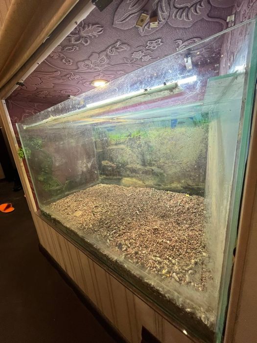 Віддам акваріум