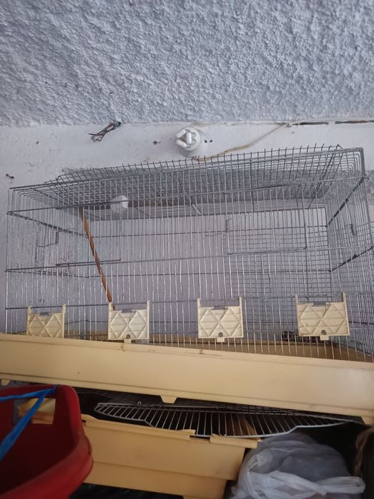 Vendo gaiola para pássaros com divisória a meio