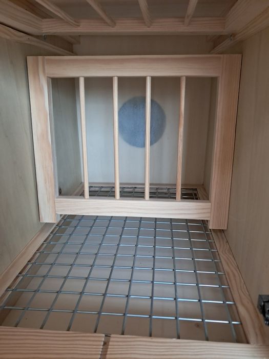 Casulos à medida para pombos