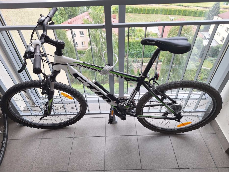 Rower ctm terrano