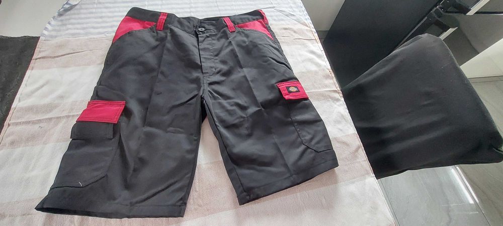 Szorty Dickies Everyday 46