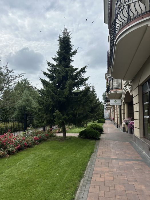 Zdjęcie 7