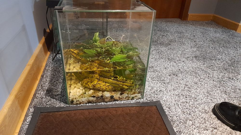 Sprzedam akwarium kostkę i proste