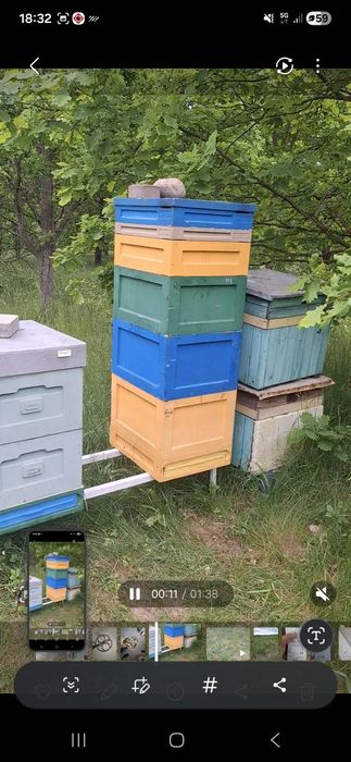 Odkłady pszczele ramka dadant I wielkopolska