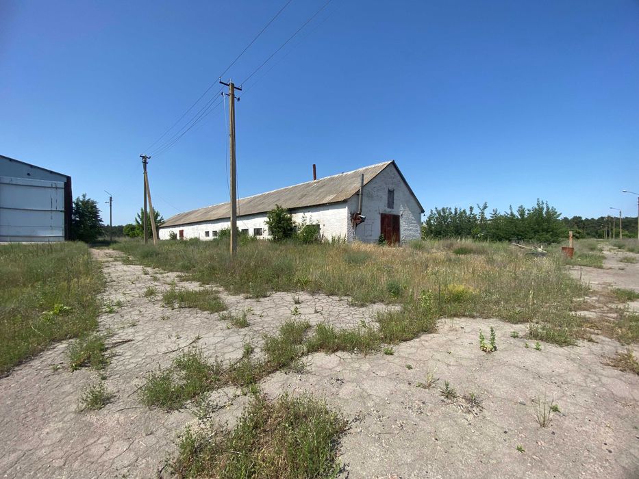 Продаж нежитлових приміщень (ферма) 10589,9м², 9,7592га, Черкаська обл