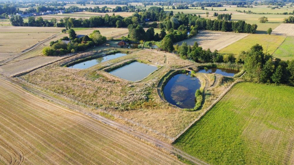 RANCZO. Domek 6 osobowy (5 stawów) 2km od jeziora FIRLEJ