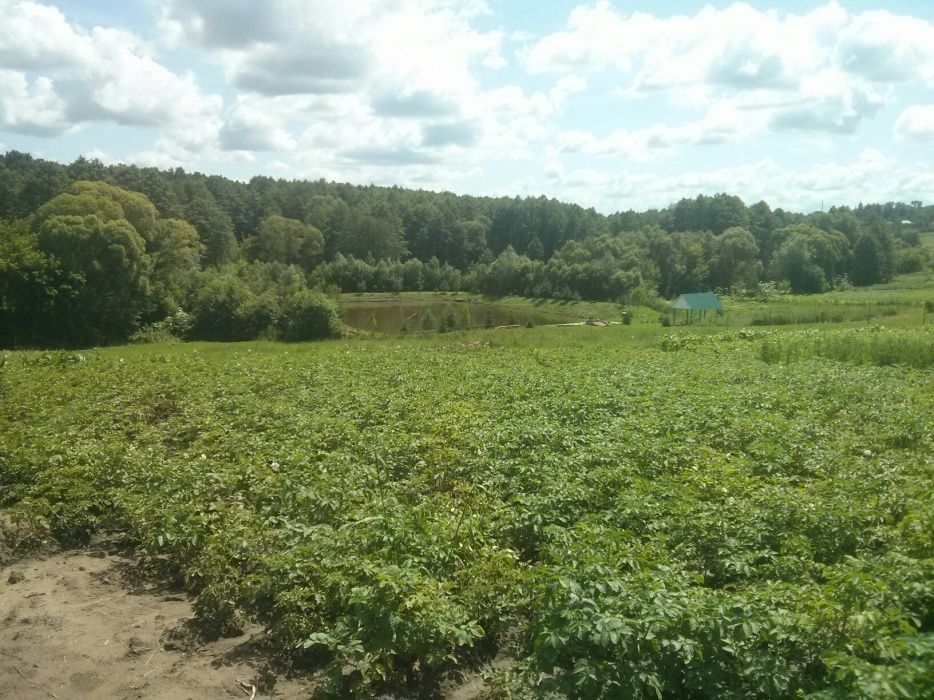 Продам ділянку під будівництво
