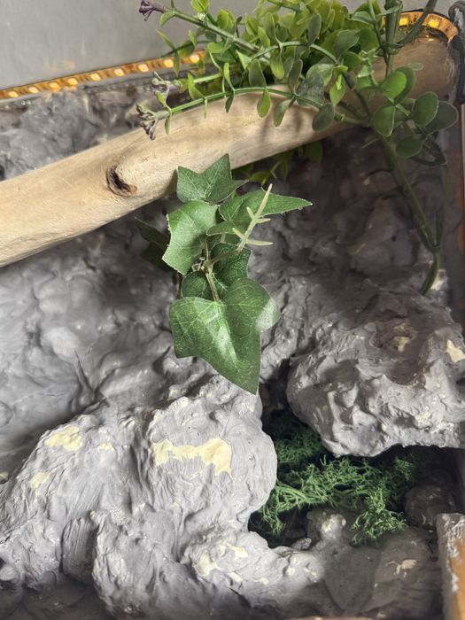Terrarium dla gekona