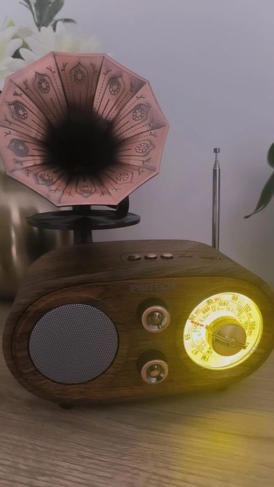 Radio Vintage bluetooth e pen