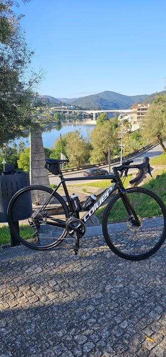 Coluer invicta disc carbono