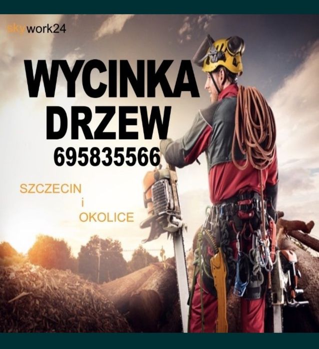 Wycinka usuwanie wycinanie drzew rebak podnośnik zwyżka alpinistycznie