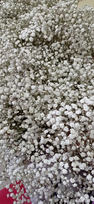 Тюльпани,рози,троянди,квіти, хризантеми,цветы,букет.Гелеві кульки.