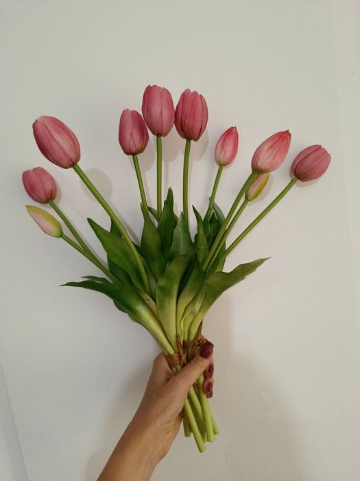 Гелеві рожеві тюльпани