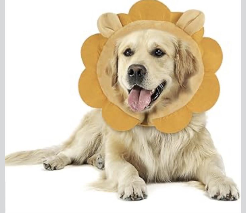 Coleira de recuperação inflável para cães