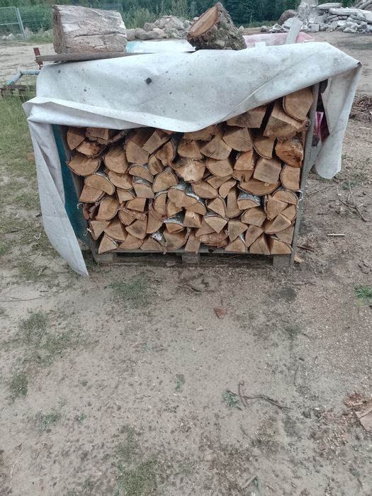 Drewno opałowe dąb