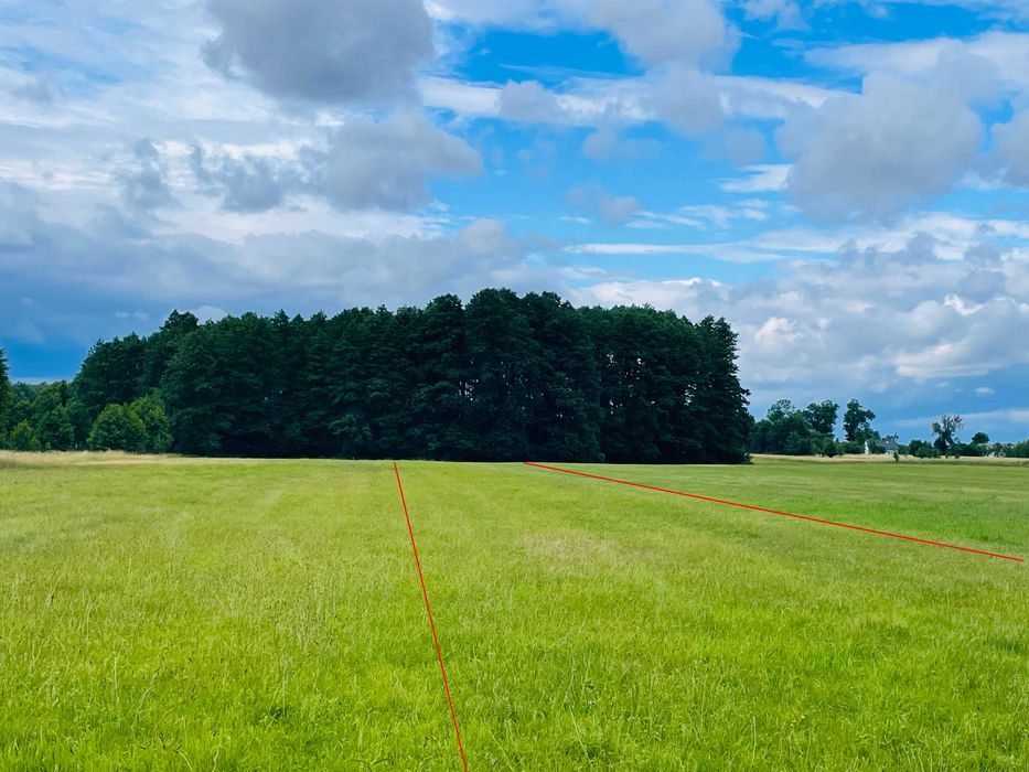 1,62 ha Siedlisko 4 ary, działka orna i łąki Trojanów gm. Mrozy. Zostań rolnikiem. - Widok 2